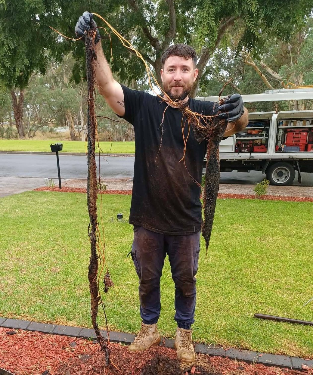 Ben holding tree roots pulled out of a drain, his service truck behind him